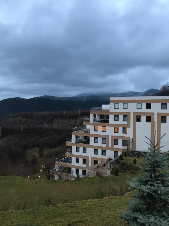 White Season Residence Brașov Exterior foto